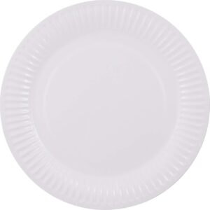 Assiettes cartons 23cm 