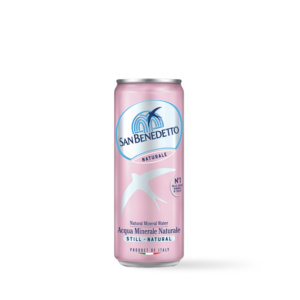 San Benedetto Eau Plate 24x33cl